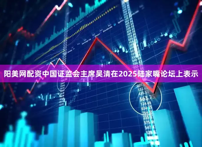 阳美网配资中国证监会主席吴清在2025陆家嘴论坛上表示