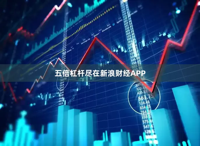 五倍杠杆尽在新浪财经APP