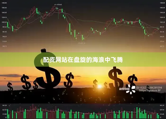 配资网站在盘旋的海浪中飞腾