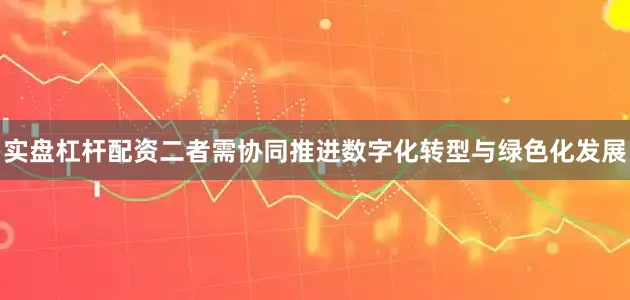 实盘杠杆配资二者需协同推进数字化转型与绿色化发展
