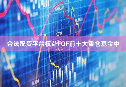 合法配资平台权益FOF前十大重仓基金中
