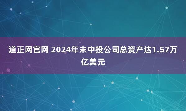 道正网官网 2024年末中投公司总资产达1.57万亿美元